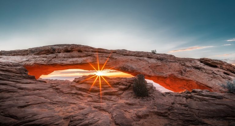 Embracing the Unknown: A Journey into the Wild