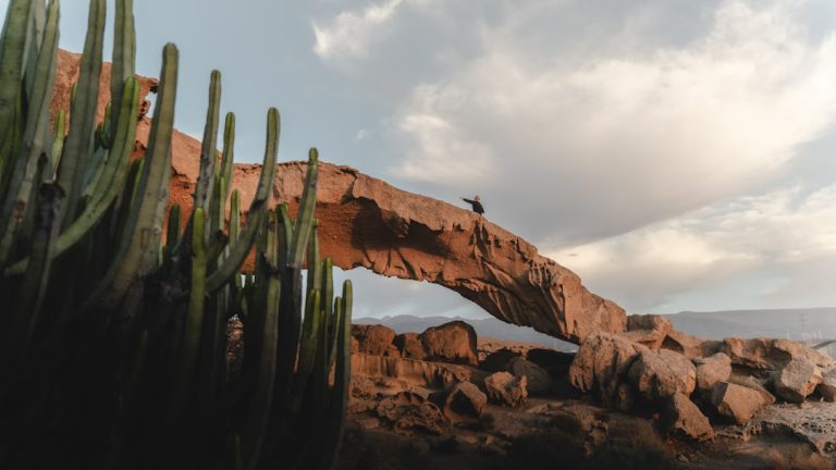 The Art of Solo Travel: Embracing Adventure and Discovery
